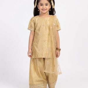 Anarkali Farshi Goldeni - 3Pc